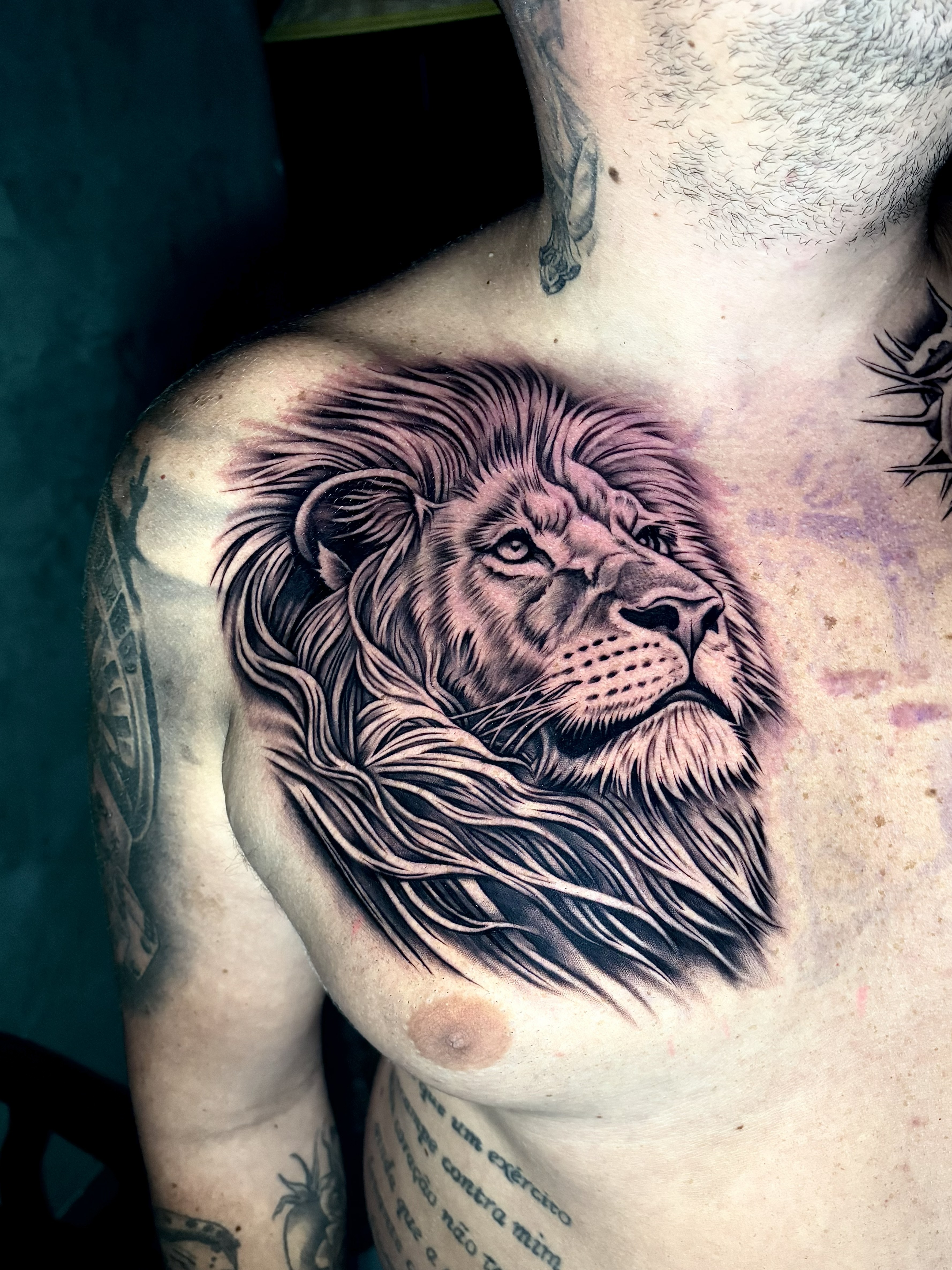 Tatuagem autoral portfolio 02